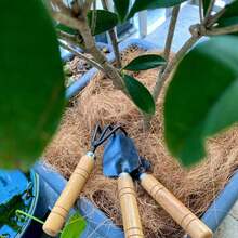 100g Natural Coconut Fiber Mats - Protect Garden Plant Soil, Breathable And Heat-Insulating Bird Warming Mats/Pot Covers, Reusable Coconut Fiber Mats, Suitable For Christmas Gardening, Poultry/Plant Protection, Bird Warming Mats, Plant Protection, Durable Material. - Multicolor - View 3