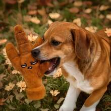 Brinquedo divertido em formato de garra de galinha para animais de estimação - Alívio interativo e autônomo do tédio | Para todas as raças de cães e gatos - Castanho - Ver 6