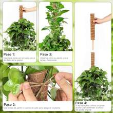 Soporte para Plantas de Extensión Monstera de Poste de Musgo de 4 Piezas Estacas para Plantas de Interior Soporte para Plantas para Entrenar el Crecimiento de Las Plantas - como en la foto - Ver 6