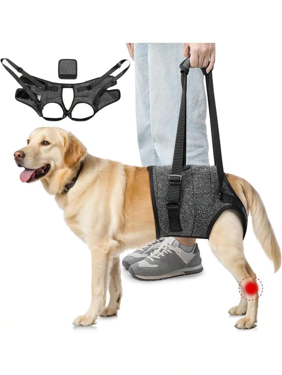 Arnés de Elevación para Perro, Ajustables Arnés para Patas Traseras con Dual Cierre Mágico y Removable Asa, Arné de Apoyo y Rehabilitación para Perro Ancianos Heridos Discapacitados a Caminar,37280509 - Óxido marrón - Ver 1
