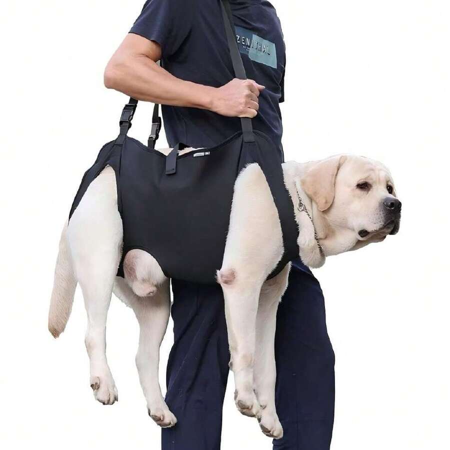 Dog Backpack - Brązowy - Zobacz 1