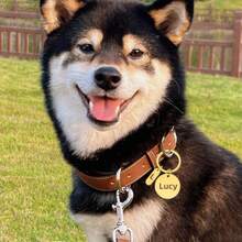 1pc Personalized Pet ID Tag With Decoration, Customizable With Your Phone Number And Pet Name, Engraved Dog/Cat Name Pet ID Tag, Custom Engraved Pet ID Tag, Used To Prevent Pets From Getting Lost Outdoor, Can Be Hung On Cat/Dog Collar, Pet Pendant