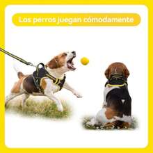 Arnés para Perros pequeños, medianos y Grandes, Chaleco Reflectante Ajustable con Correa Resistente de 1,5 m, arnés antitirones,37283181 - Celeste - Ver 6