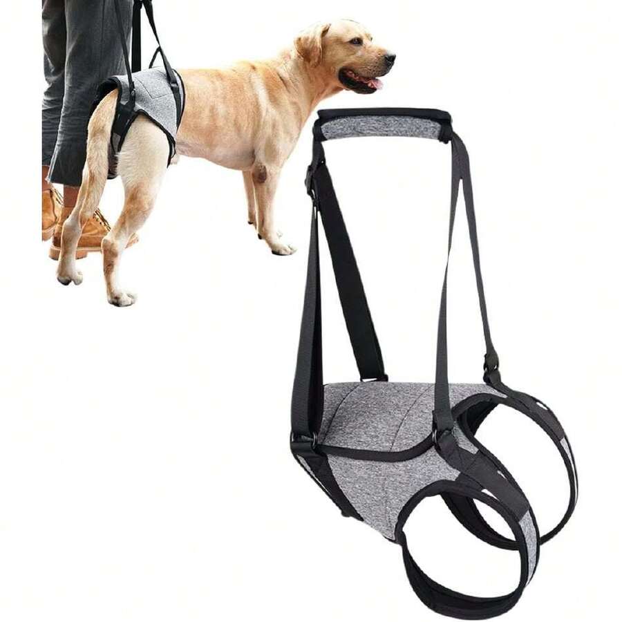 Arnés de Elevación Ajustable para Perro, Arnés de Soporte para Perros, Soporte para Patas Traseras, para Perros Mayores O Discapacitados, Facilita Caminar y Subir Bajar Escaleras (XL),37283254 - Rojo violeta - Ver 1