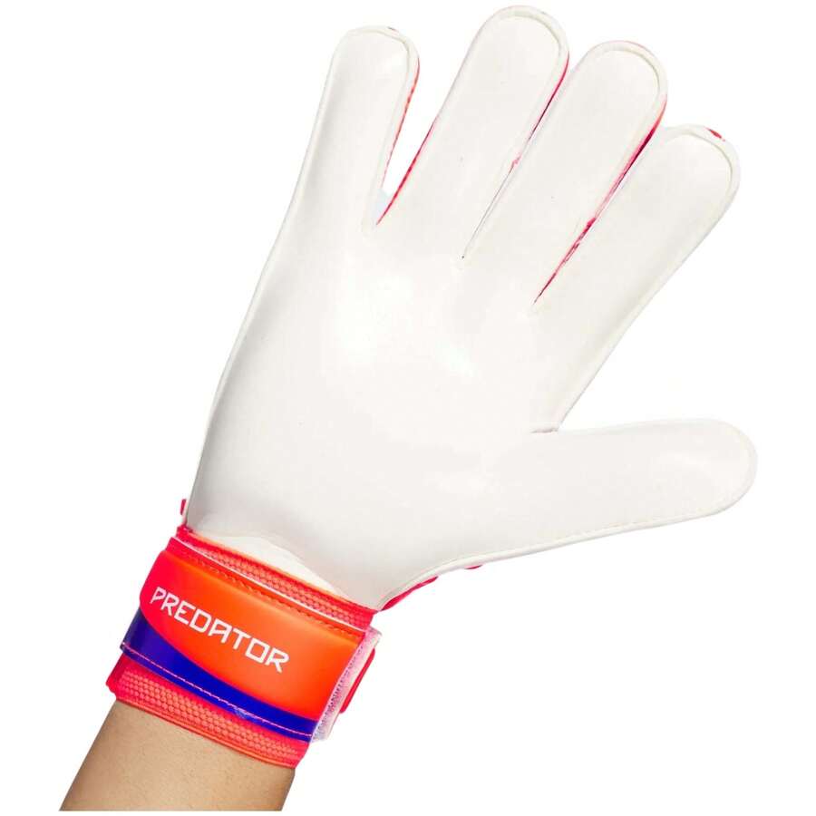 Adidas IX3870 男士紫色足球手套