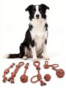 Pet Chew Rope Toy Set - Interactive Playtime Fun - Multicolor - View 4