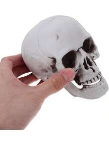 EstiloCiieeo 2 Uds RéPlica De CráNeo Humano De SimulacióN Falsa Estatua De CráNeo Humano Cabeza De Esqueleto De PláStico Para DecoracióN De HalloweenVersióN Mejorada - 1 - Ver 4