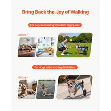 Dog Wheelchair For Back Legs, Adjustable 2 Wheels Pet Wheelchair, Lightweight  Dog Cart With Shock-Absorbing Wheels, Mobility Support Wheel Chair For Disabled Injured Dogs Up To 33lbs, Medium - M Optimized Version - 查看 2