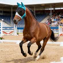 马用柔软网状防蝇面罩，带耳罩，透气性好，适用于保护眼睛和面部，防蝇防紫外线。