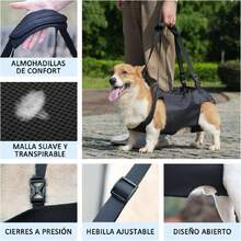 Dog Backpack - Bleu canard - Voir 2