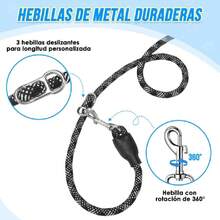 Retractable Leashes - Camel - View 2