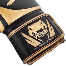 Challenger 2.0 Boxing Glove - BlackGold - View 2