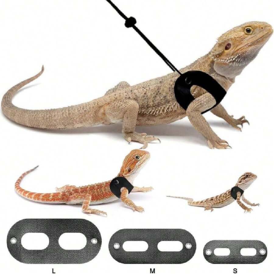 Reptile & Amphibian Harnesses & Carriers - 彩色 - 查看 1
