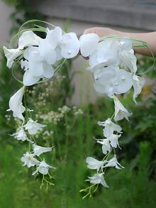 1pc Bohemian Style Elegant Simple & Generous Orchid Waterfall Bridal Bouquet, Engagement Registration Photography Handheld Flower Bunch, Suitable For Wedding And Studio Photography - Multicolor - View 3