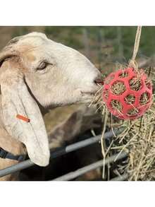 三色（红、蓝、绿）悬挂式干草喂食球，马匹咀嚼玩具，户外马厩悬挂式草球，马匹喂食/放牧袋 - 彩色 - 查看 10