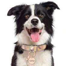 1pc Personalized Pet ID Tag With Decoration, Customizable With Your Phone Number And Pet Name, Engraved Dog/Cat Name Pet ID Tag, Custom Engraved Pet ID Tag, Used To Prevent Pets From Getting Lost Outdoor, Can Be Hung On Cat/Dog Collar, Pet Pendant