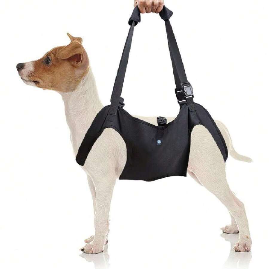 Arnés de Elevación/Transporte para Perros,Arnés de Apoyo y Rehabilitación para Ancianos,Discapacitados,Iesiones Articulares,Artritis,Negro,S,37283345 - Verde Oscuro - Ver 1