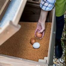 3-Specification Coconut Shell Fiber 6-Pack Poultry Nesting Mat -11.81 X 11.81/11.81 X15.74/15.74X15.74 Inch Moisture Resistant And Insulated Chicken House Mat, Easy To Manage Chicken Nest Box Mat, Suitable For Flower Pots, Window Boxes, Flower Baskets, Animal Pet Pads, Reptile Carpets - 棕色/11.81 X*11.81inch - 查看 10