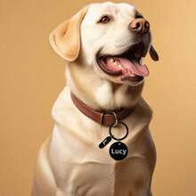 1pc Personalized Pet ID Tag With Decoration, Customizable With Your Phone Number And Pet Name, Engraved Dog/Cat Name Pet ID Tag, Custom Engraved Pet ID Tag, Used To Prevent Pets From Getting Lost Outdoor, Can Be Hung On Cat/Dog Collar, Pet Pendant