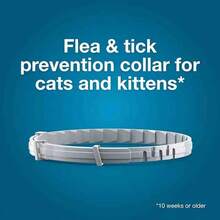 Pet Cat Collar, Designed To Protect Against Fleas, Lice, And Ticks. Provides Long-Lasting Protection. - Xám - Xem 2