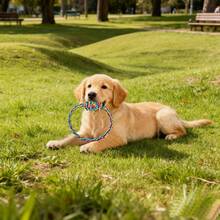 必备热销单品！耐用耐咬绳结狗狗玩具——磨牙、解闷，适合小型和中型犬 - 彩色 - 查看 4