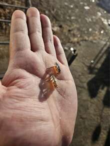 2pcs Elegant Women's Earrings With Hollow Heart, Rhinestone Inlaid Letter Design - Gold - View 3