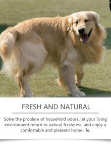 Spray eliminador de olores para mascotas, desodorante de limpieza suave para la caja de arena de gatos, camas de perros y talla grande - 100ml - Ver 4