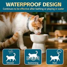 Pet Cat Collar, Designed To Protect Against Fleas, Lice, And Ticks. Provides Long-Lasting Protection. - Xám - Xem 6