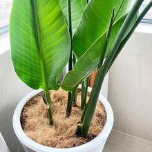 100g Natural Coconut Fiber Mats - Protect Garden Plant Soil, Breathable And Heat-Insulating Bird Warming Mats/Pot Covers, Reusable Coconut Fiber Mats, Suitable For Christmas Gardening, Poultry/Plant Protection, Bird Warming Mats, Plant Protection, Durable Material. - Multicolor - View 4