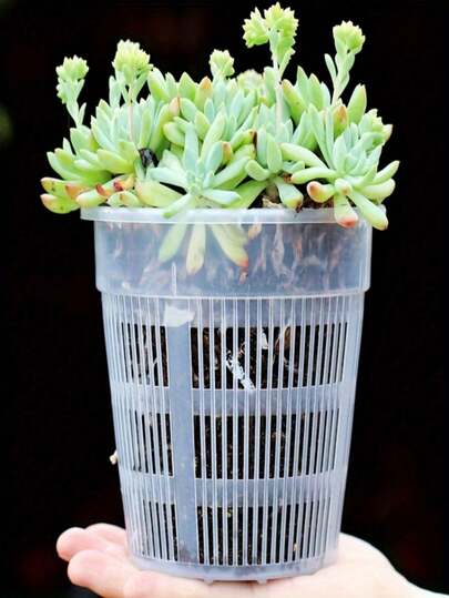 6pcs Round Plant Root Growing Pots, Spring Potted Planting Flower Pots, Root System Growth Vases, Dendrobium Orchid Pots, Phalaenopsis Orchid Pots, With Drainage And Ventilation, Gardening Supplies, Planting Tools