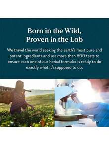 MONTUE Gotas de Drenaje Linfático Mezcla Propietaria 300 mg por Porción | Con Galium aparine, Trifolium pratense, Stillingia sylvatica, Zanthoxylum americanum | 1/4 Cucharadita (1 mL) por Dosis | 59 Porciones Totales | Para Bienestar Corporal Diario - 59 ml - Ver 6