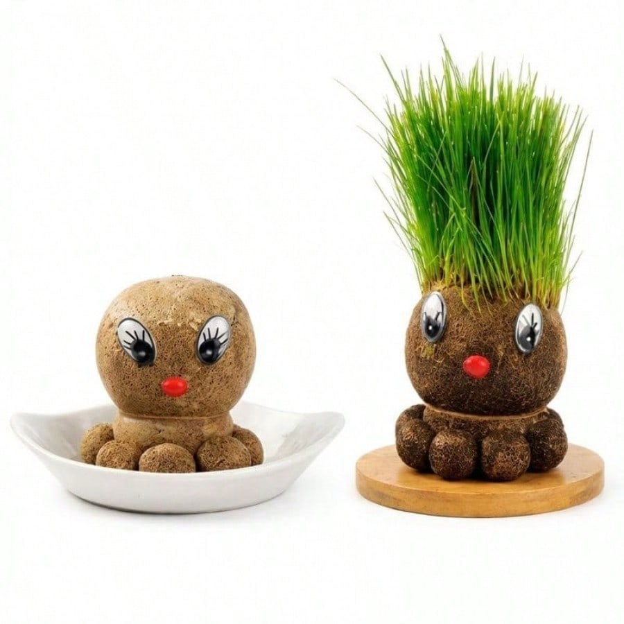 Muñeco Cabeza de Pasto Magico Planta Educativa y Decorativa Crecimiento Rapido