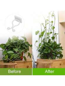 EstiloClip de Fijación de Enredaderas de Pared, 100 Piezas de Plástico para Plantas, Clips para Accesorios de Pared para Trepar, Accesorios de Rama Autoadhesivos, Clips de Sujeción(verde)Versión mejorada - Blanco - Ver 7
