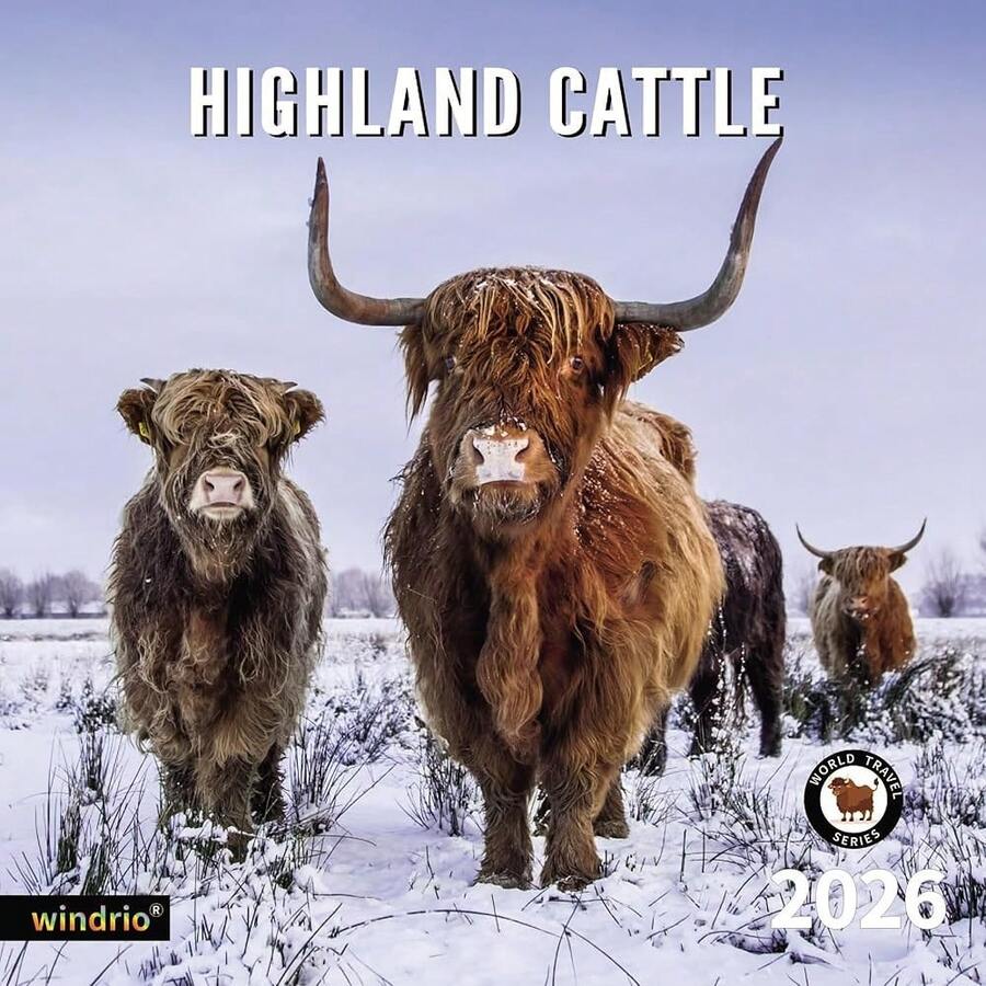 Kalender 2026 | Lustige Hochlandrind Wandkalender 2026 | Niedliche Tier Hochland Kuh Familienplaner | Neuheit Scottish Monatlich Familienkalender Wandplaner für Home Deko