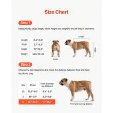 Dog Wheelchair For Back Legs, Adjustable 2 Wheels Pet Wheelchair, Lightweight  Dog Cart With Shock-Absorbing Wheels, Mobility Support Wheel Chair For Disabled Injured Dogs Up To 33lbs, Medium - M Optimized Version - 查看 3