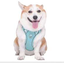 Arnés para Perro - Arnés Pechera para Perros, Antidesgarro, Ergonómico, Reflectante y Transpirable (Verde con Fruta, XXS),37283605 - Mostaza Amarilla - Ver 2