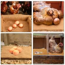 3-Specification Coconut Shell Fiber 6-Pack Poultry Nesting Mat -11.81 X 11.81/11.81 X15.74/15.74X15.74 Inch Moisture Resistant And Insulated Chicken House Mat, Easy To Manage Chicken Nest Box Mat, Suitable For Flower Pots, Window Boxes, Flower Baskets, Animal Pet Pads, Reptile Carpets - 棕色/11.81 X*11.81inch - 查看 9