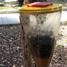 Powerful Hanging Fly Trap - Attractive And Effective For Indoor/Outdoor Use In The Home, Garden, Patio, And Farm; -, Disposable Insect Trap