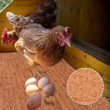 3-Specification Coconut Shell Fiber 6-Pack Poultry Nesting Mat -11.81 X 11.81/11.81 X15.74/15.74X15.74 Inch Moisture Resistant And Insulated Chicken House Mat, Easy To Manage Chicken Nest Box Mat, Suitable For Flower Pots, Window Boxes, Flower Baskets, Animal Pet Pads, Reptile Carpets - 棕色/11.81 X*11.81inch - 查看 2