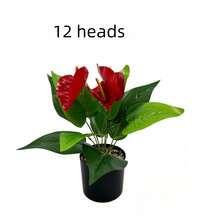 1pc 13.8 Inch/20.47 Inch Artificial Eucalyptus Stem Fake Eucalyptus Branches And Leaves (Pot Not Included), Green Decorative Plant For Home, Desktop Decor, Fake Potted Plant, Floral Arrangement, Gift, Wedding Decor, Room Decor, Balcony Decor, Kitchen Decor, Living Room Decor, Party Decor, Wall Decor, House Decor, Birthday Gift - Multicolor - View 11