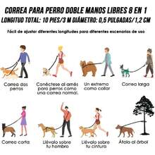 Retractable Leashes - Multicolor - View 2