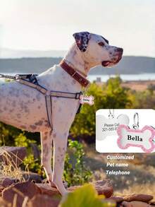 Custom Paw Print Dog Tag – Personalized Pet ID Tag With Engraved Name & Text, Custom Dog Tag, Paw Print Pet Tag, Personalized Dog ID Tag, Engraved Paw Collar Tag, Small Dog Accessories, Pet Name Tag, Puppy ID Tag, Paw Shaped Dog Tag, Cute Pet Collar Accessory, Custom Engraved Pet Tag Bone Paw-Shaped Collar Tag For Small Dogs And Puppies - Multicolor - View 6