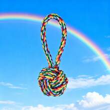 必备热销单品！耐用耐咬绳结狗狗玩具——磨牙、解闷，适合小型和中型犬 - 彩色 - 查看 10