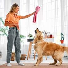 Juguete de perro de pulpo rosa con diseño de corazón - Juguete interactivo para perros con chirrido, juguete de peluche para perros para buscar y masticar en interiores