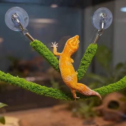 1pc Realistic Vine Crawling Spider Lizard Climbing Rope With Suction Cups, Lizard Climbing Toy, Swing For Reptile Terrarium Decor, Suitable For Reptiles And Amphibians