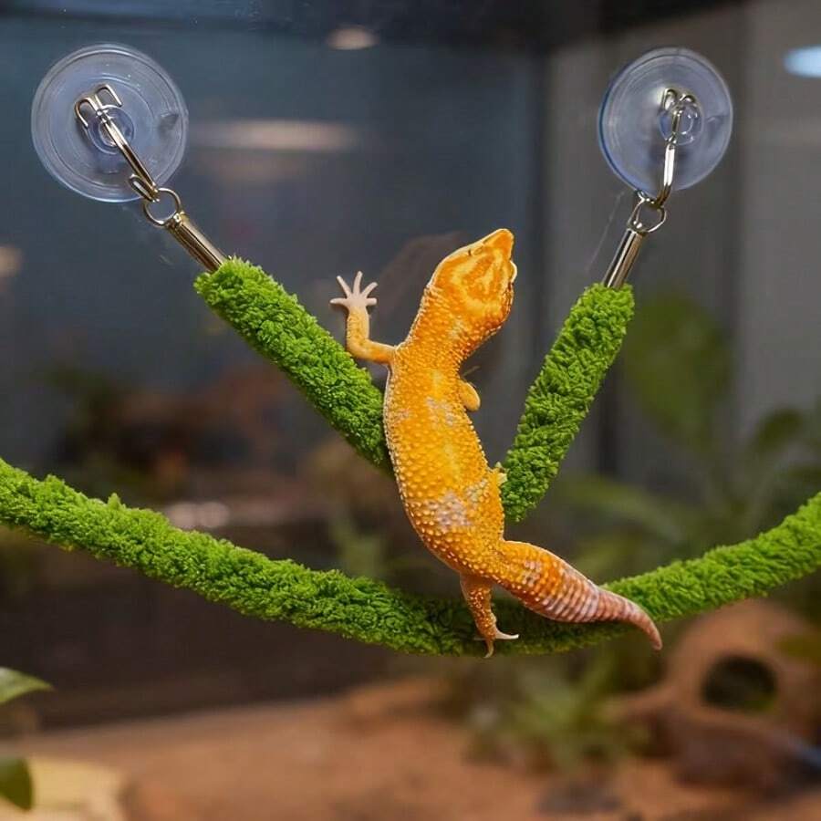 1件逼真藤蔓爬行蜘蛛蜥蜴攀爬绳，带吸盘，蜥蜴攀爬玩具，爬行动物饲养箱装饰秋千，适用于爬行动物和两栖动物