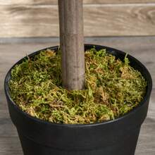 Outsunny - Pack de 2 laureles artificiales de 90 cm en macetas de cemento, para interior y exterior, decorativos, color verde - Verde - Ver 8