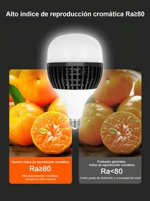 LED Bulbs - 2 pièces - Voir 5