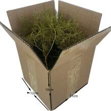 Dyed Dried Quinoa Flowers, Preserved Flowers, Natural Plants Used In DIY Projects, Home Decor, Bouquet Embellishments, And Landscape Design