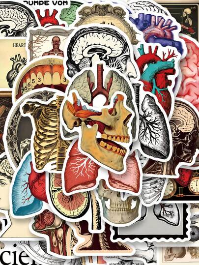 50 piezas Pegatinas de anatomía humana, pegatinas de anatomía, pegatinas de médico, pegatinas decorativas de graffiti de anatomía, pegatinas de vinilo resistente al agua adecuadas para botellas de agua, portátiles, teléfonos, monopatines, álbumes de recortes, cuadernos, regalos, suministros para álbumes de recortes, papelería